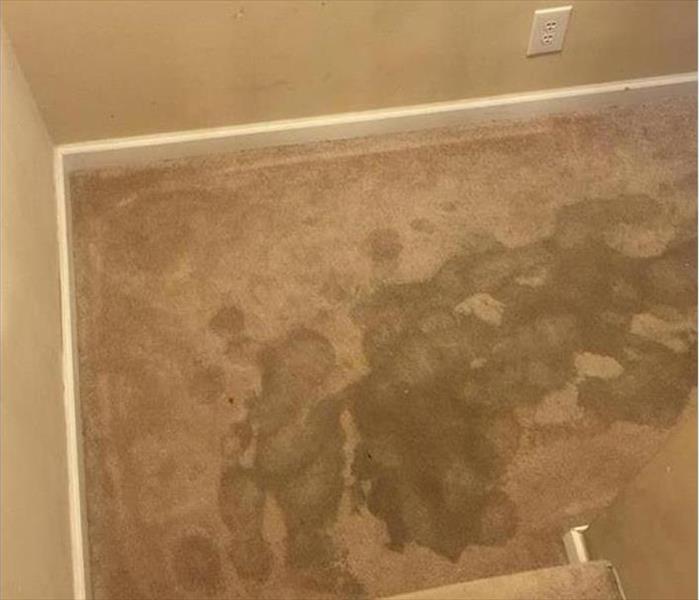 carpet stained with soiled water at base of carpeted stairs