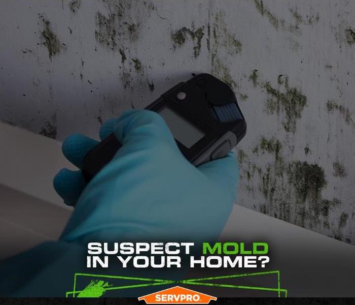 mold damage on a white wall with the caption “Suspect Mold in Your Home?”